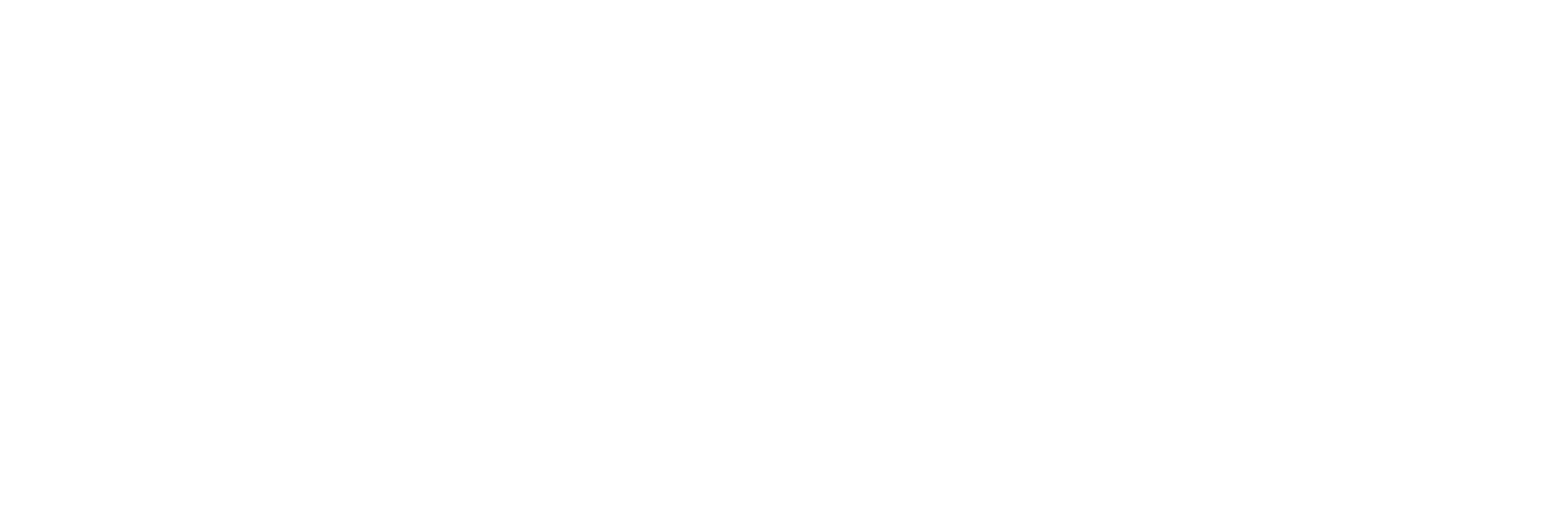 A0X